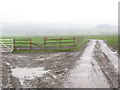 SJ3003 : Farm access track, Binweston by Stephen Craven
