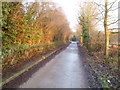 Southwell trail near Kirklington