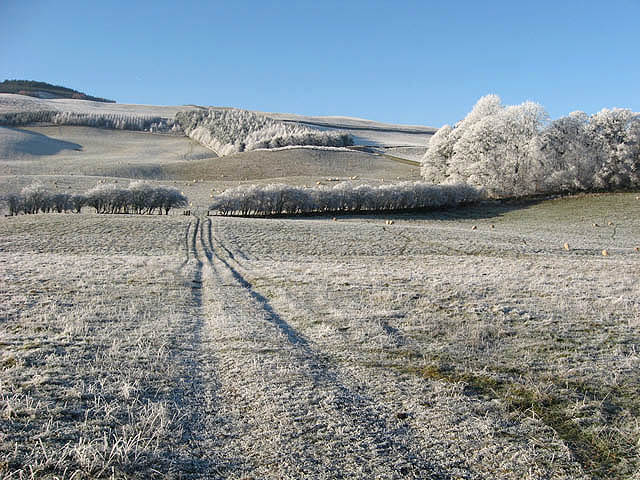 Frosted fields