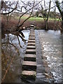 Stepping stones across the Skell.