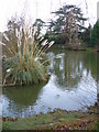 Worplesdon Place Lake