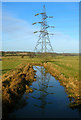 Electricity Pylon, Waller