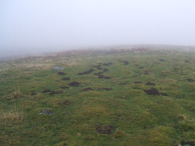 Mist and molehills above Swindale