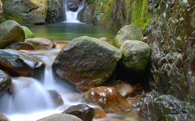 Donard Forest, Newcastle (11) © Albert Bridge cc-by-sa/2.0 :: Geograph ...