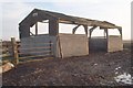 Sheep Pen on New Rides Farm, Eastchurch