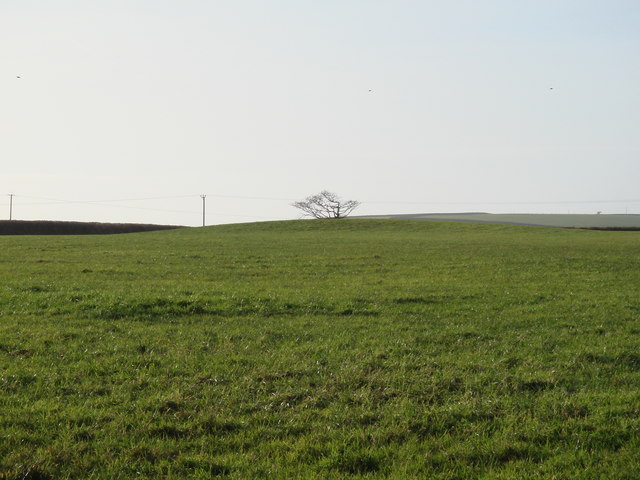 Tumulus in field beside the A39