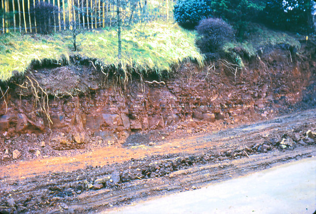 Gypsum bands in marl escarpment