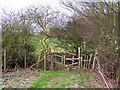 Stile with dog-door