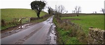 H4869 : Road near Tattykeel by Kenneth  Allen