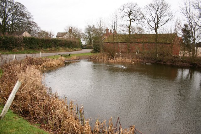 Greetham Pond