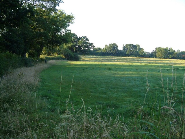 Field by Wood Hayes Road