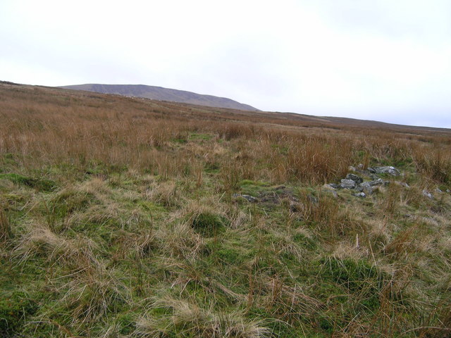 View towards Little Whernside from High Pasture