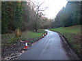 Road through Wraxhall Woods