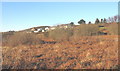 View across waste land towards Mynytho village