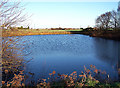 Pond in farmland