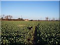 Footpath towards Great Norwood