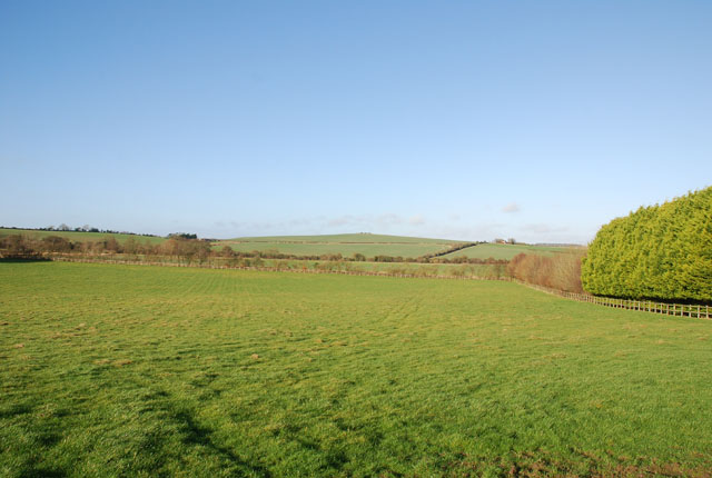 Field on Woodminton Farm