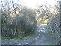 A frozen, muddy, track near Oerddwr cottage