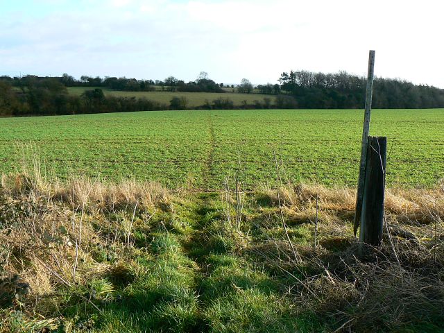 Monarch's Way, near Chedworth