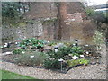 Herb Garden by London Wall