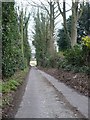 A lane leading to Coldred Road