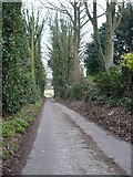 TR2648 : A lane leading to Coldred Road by pam fray