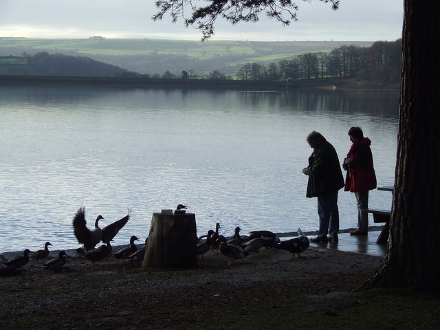 Picnic (and bird feeding) Area at Stack Point (Swinsty Reservoir)