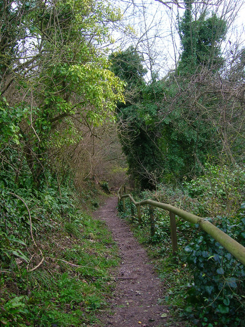 Jacob's Ladder, Burpham © Simon Carey cc-by-sa/2.0 :: Geograph Britain ...