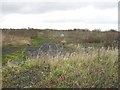 Wasteland at Snowdown colliery