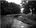 Packhorse bridge, Linton, Wharfedale