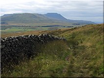 SD7880 : The Ribble Way and Ingleborough by John S Turner