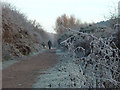 SK5862 : Frosty path by Alan Murray-Rust