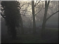 Trent Valley fog at Colwick Park