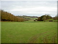 Farmland near Llandegla