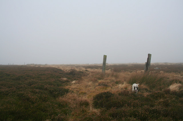 Fence posts atop Carn Mor