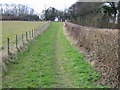 Path at edge of field