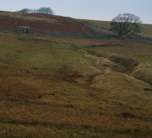 Small Building and Sheepfold on Carlton Moor