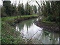 The Great Stour near Broad Oak Road