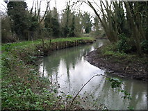 TR1559 : The Great Stour near Broad Oak Road by Nick Smith