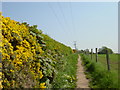 Footpath to Oldfield Farm