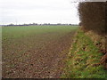 Looking West from the Footpath