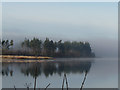 Little Loch Shin, Lairg