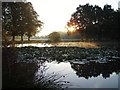 The pond on Yateley Green