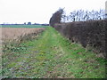 Footpath to Knell Lane from Cop Street