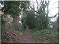 Path alongside railway line going towards Haslemere Station