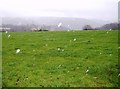 Bleak farmland