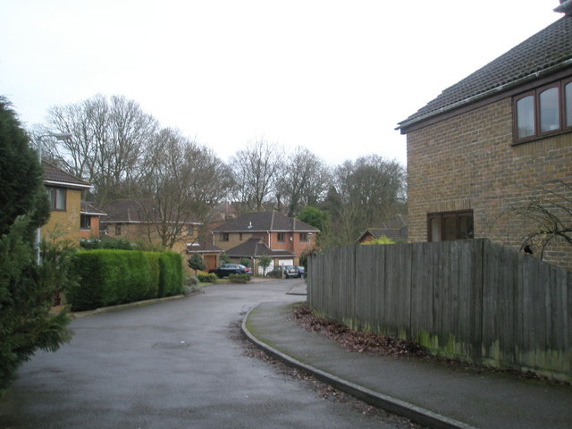 Spur in Weycombe Road