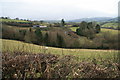 Sheep pasture at Cwm Graig