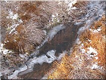 NH3319 : Frozen bog by Richard Webb
