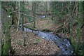 Brook below Garreg